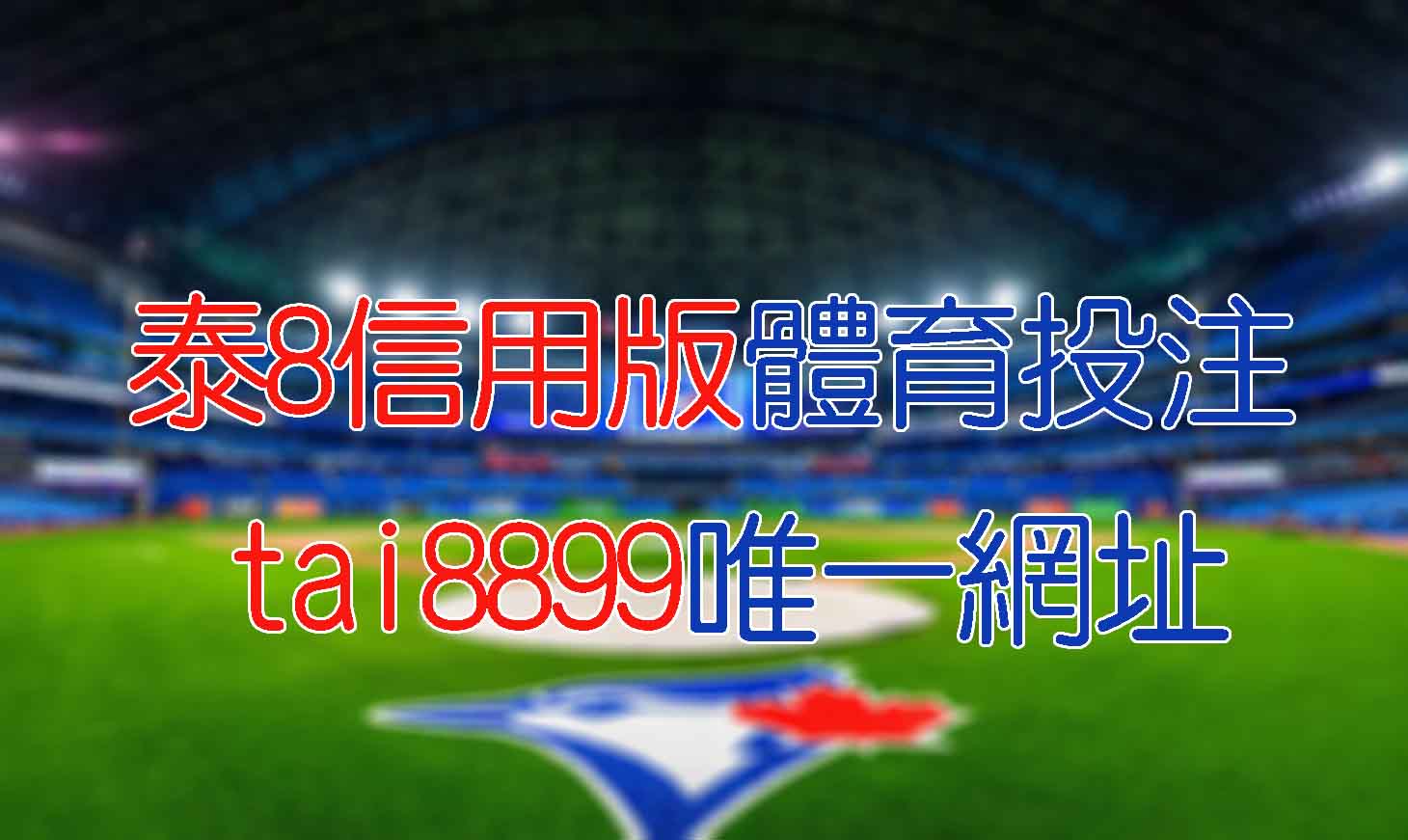 泰8信用版體育投注,tai8899唯一網址